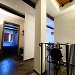 Amsicora